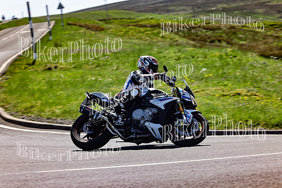 Daves (65)