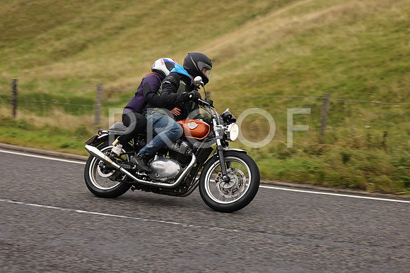 Steve - 3N3A9999 (1185)