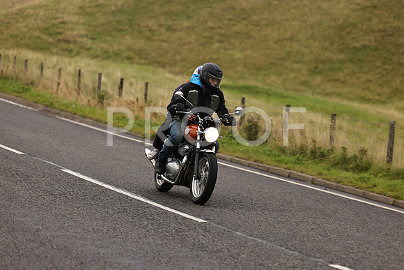 Steve - 3N3A9999 (1181)