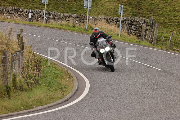 Steve - 3N3A9999 (4921)