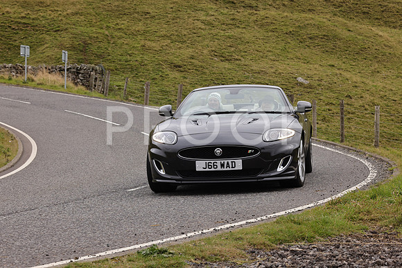 Steve - 3N3A9999 (3352)