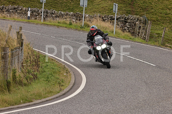 Steve - 3N3A9999 (4922)