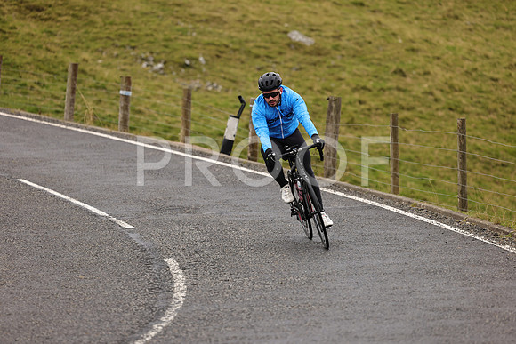 Steve - 3N3A9999 (1119)