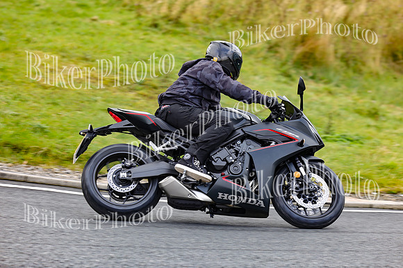 250A6651
