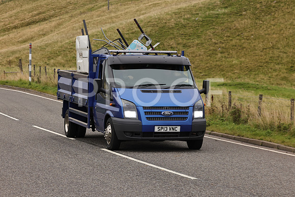 Steve - 3N3A9999 (2122)