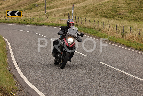 Steve - 3N3A9999 (2926)