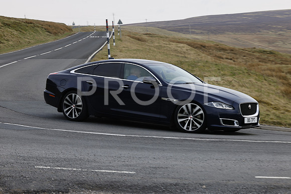 _N3A7953