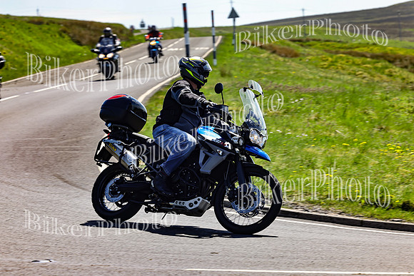 Daves (148)
