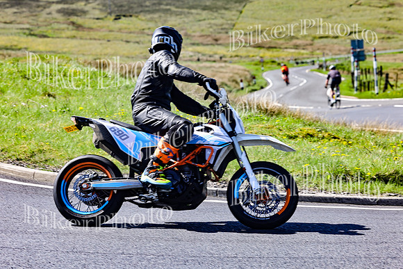 Daves (44)