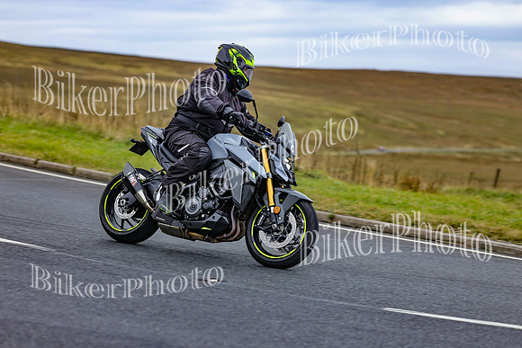 250A2019