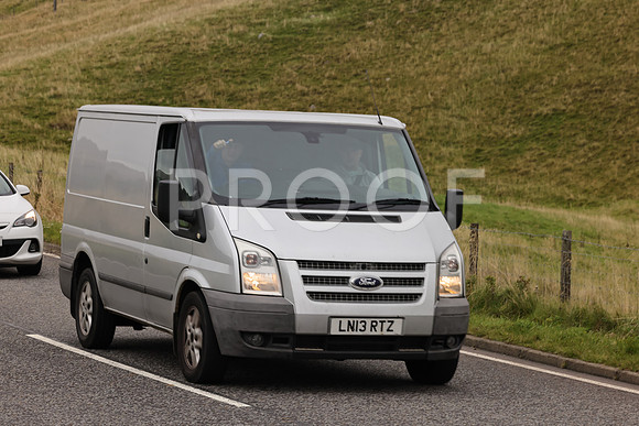 Steve - 3N3A9999 (2128)