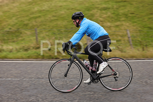 Steve - 3N3A9999 (1139)