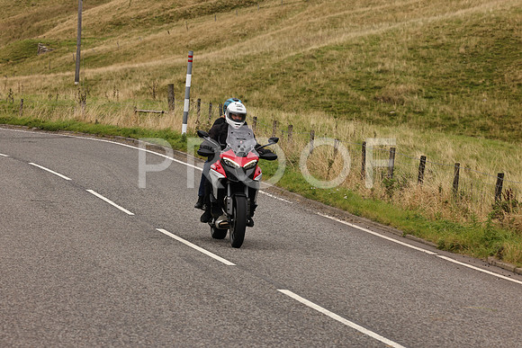 Steve - 3N3A9999 (5017)