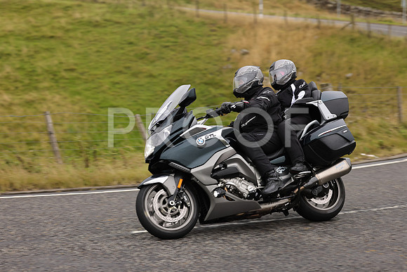 Steve - 3N3A9999 (1158)