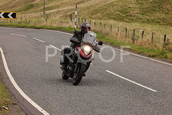 Steve - 3N3A9999 (2929)