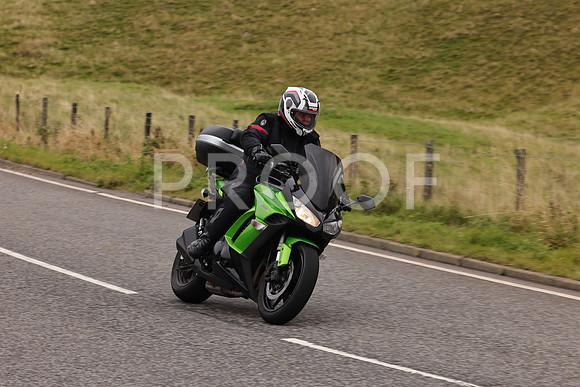 Steve - 3N3A9999 (3084)