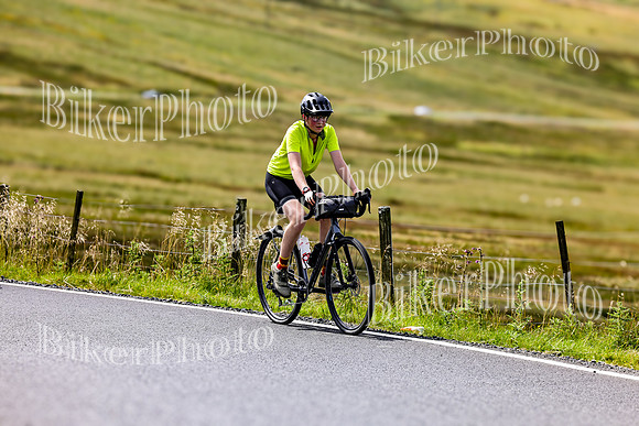 3N3A0258