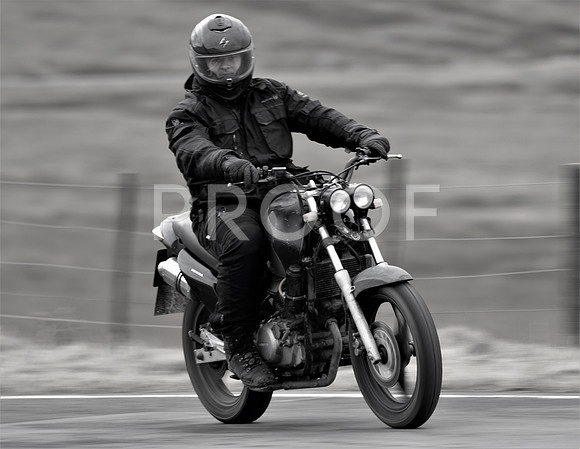 _N3A5208 BW-1