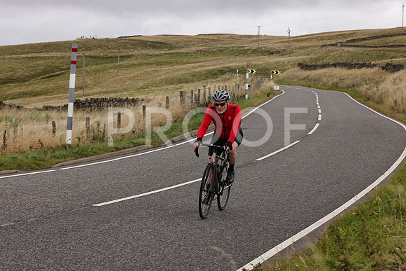 Dave - 3N3A061400 (511)