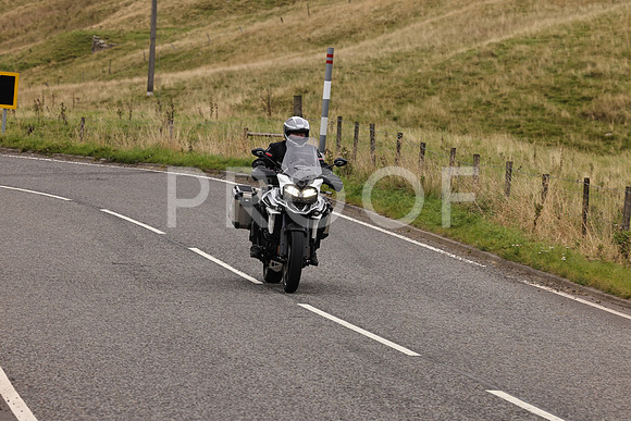 Steve - 3N3A9999 (3047)