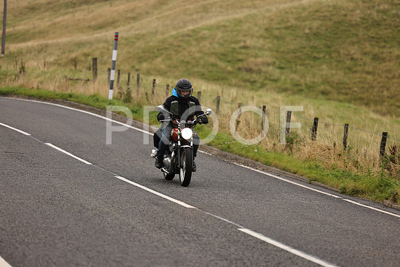 Steve - 3N3A9999 (1171)