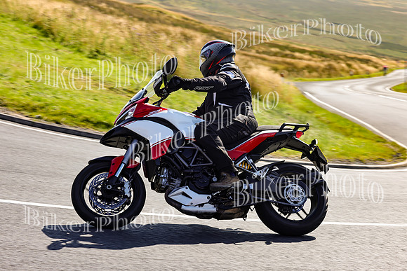 3N3A2828