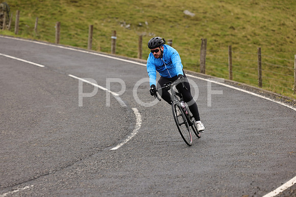 Steve - 3N3A9999 (1132)