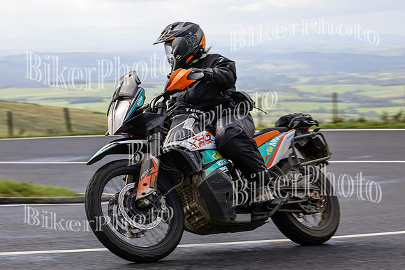 069A8290