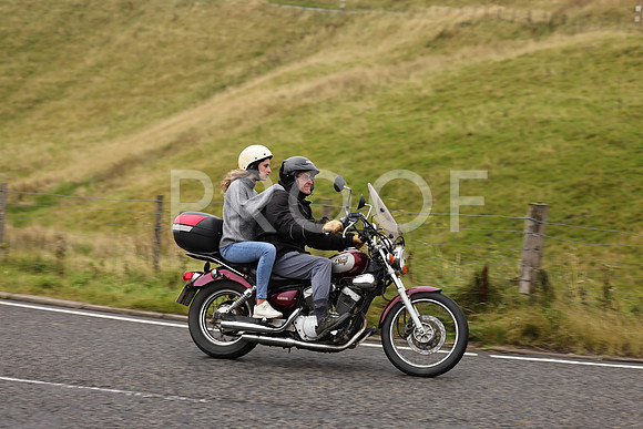 Steve - 3N3A9999 (1212)