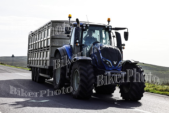 069A8655