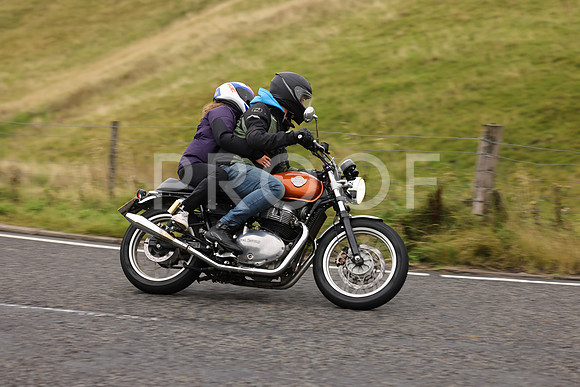 Steve - 3N3A9999 (1187)