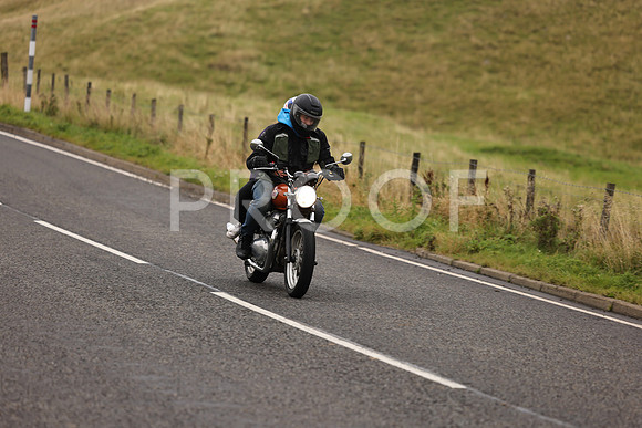 Steve - 3N3A9999 (1174)