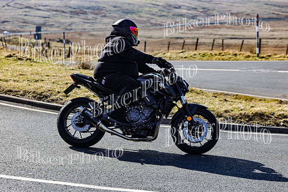 250A3397 (2)