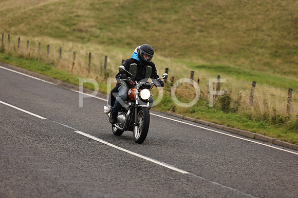 Steve - 3N3A9999 (1177)