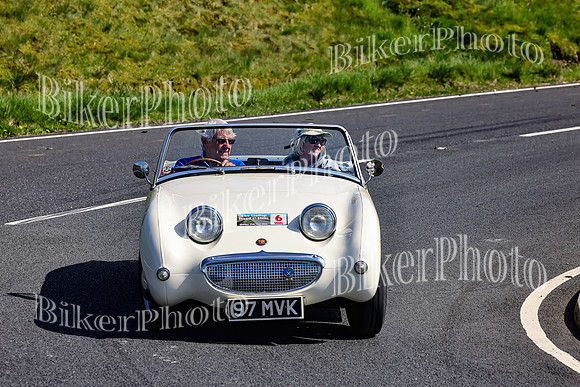 Daves (60)