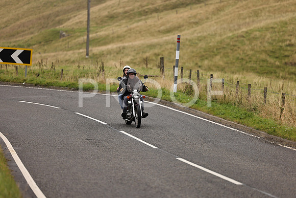 Steve - 3N3A9999 (1197)