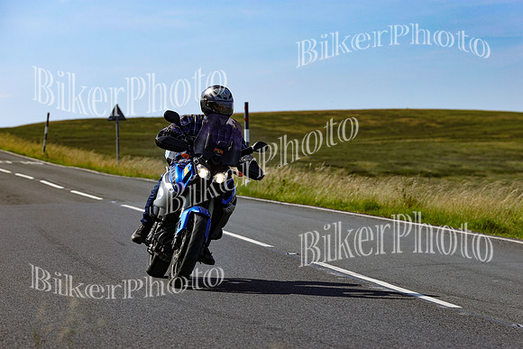 0W9A8104