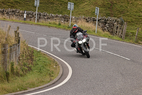 Steve - 3N3A9999 (4919)
