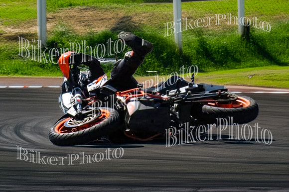 IMG_7674 102-2