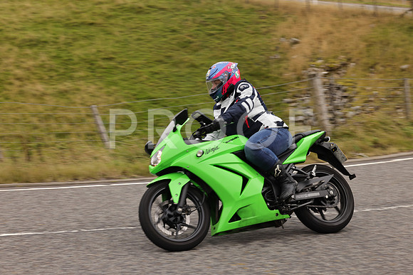 Steve - 3N3A9999 (2897)