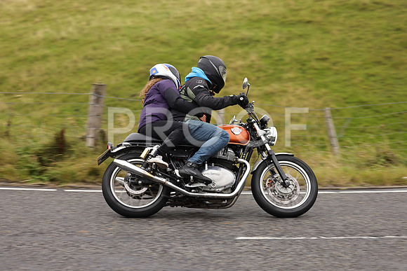 Steve - 3N3A9999 (1191)