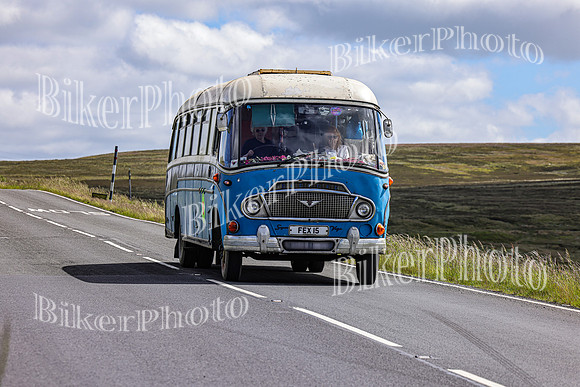 3N3A0599 (2)
