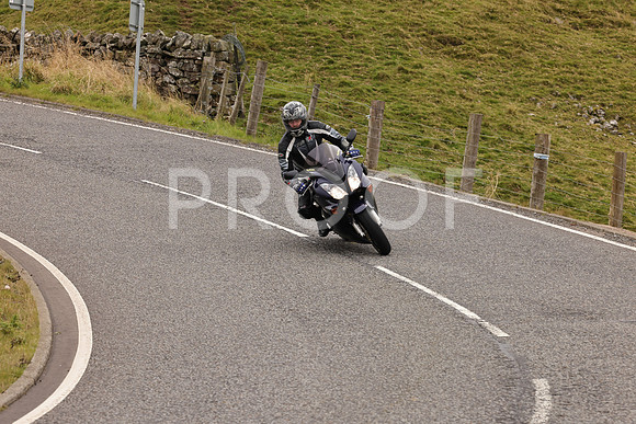 Steve - 3N3A9999 (2964)