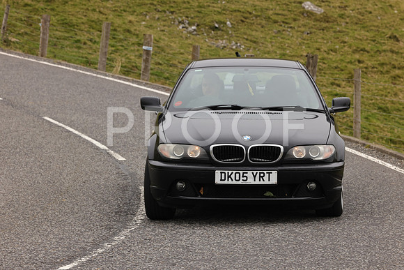 Steve - 3N3A9999 (2158)