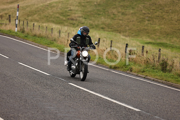 Steve - 3N3A9999 (1172)