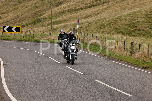 Steve - 3N3A9999 (4841)