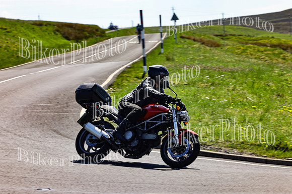 Daves (37)