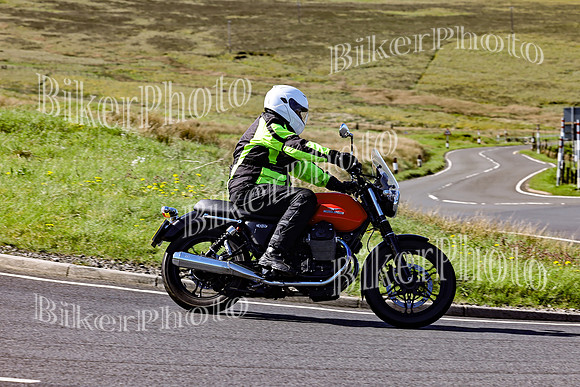 Daves (52)