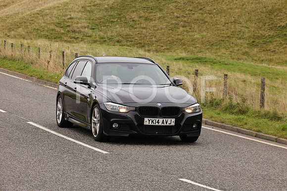 Steve - 3N3A9999 (2821)
