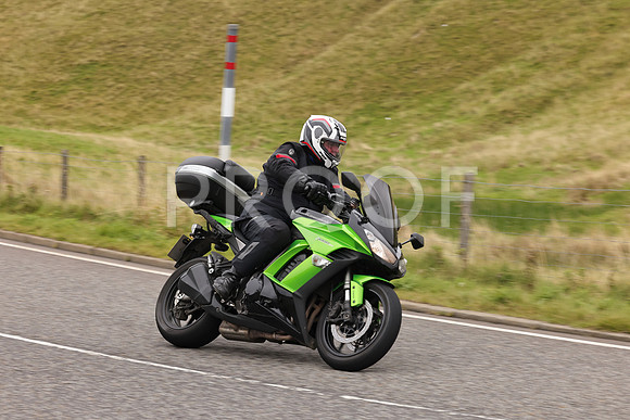 Steve - 3N3A9999 (3091)